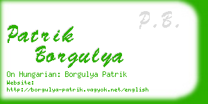 patrik borgulya business card